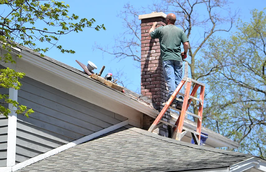 Chimney & Fireplace Inspections Services in East Massapequa, NY